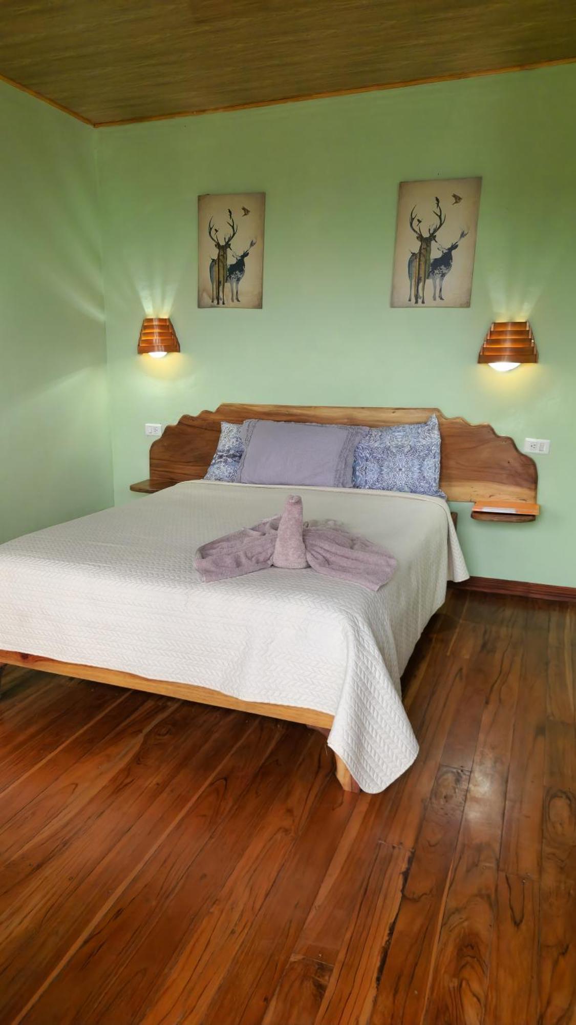 Twin Palms Lodge Monteverde Rum bild